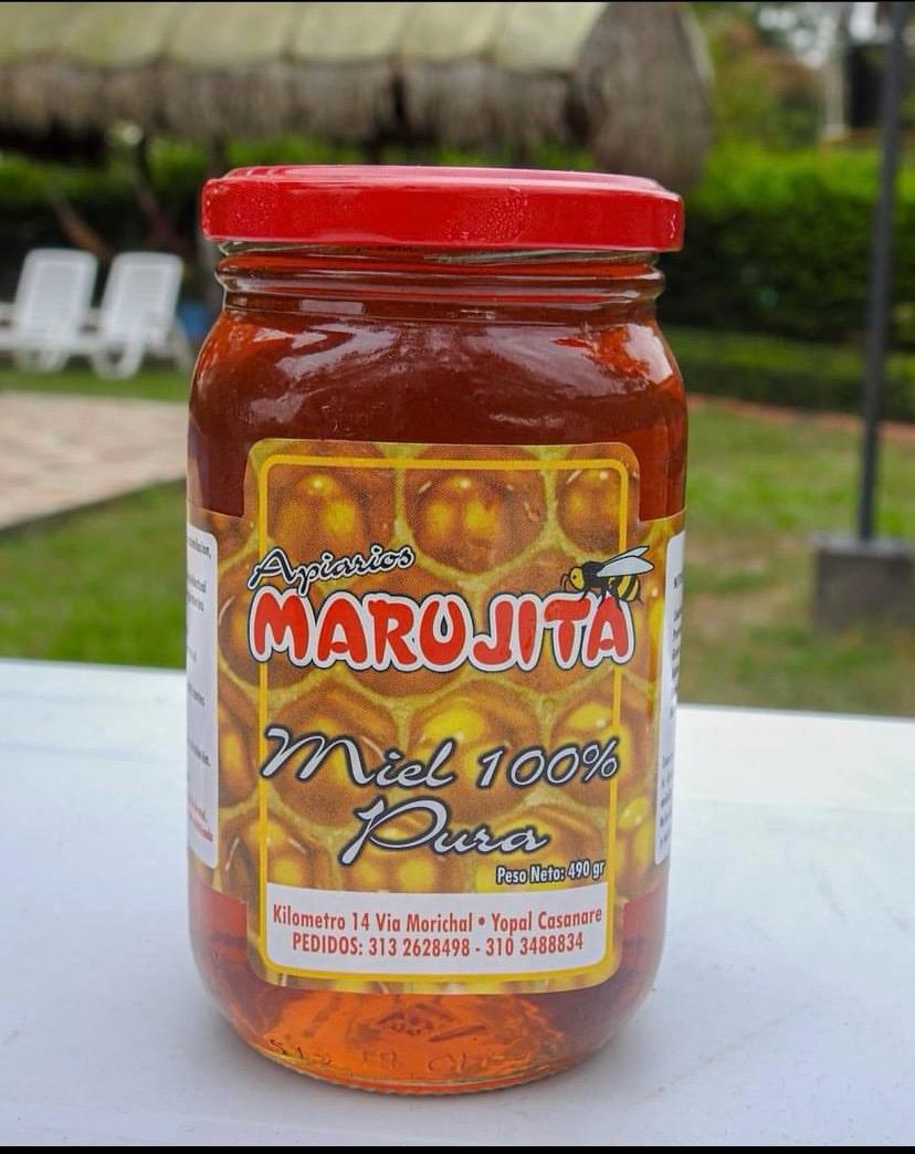 Miel de abejas  - Miel de APIYopal en Yopal